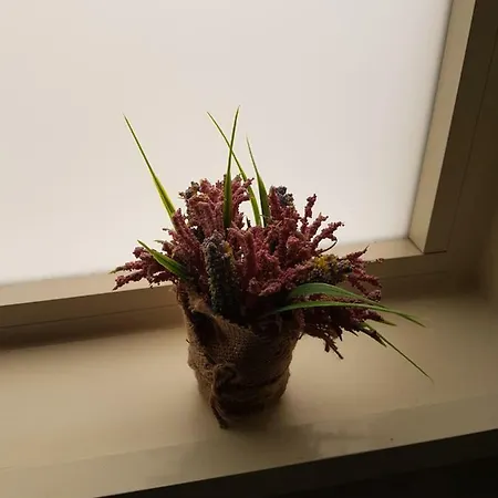 A Maronn Ro'carmin * Nápoly